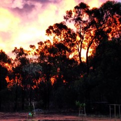 Kim V Goldsmith artist photograph Summer Dusk