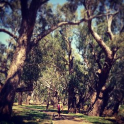 Kim V Goldsmith artist photograph Macquarie River