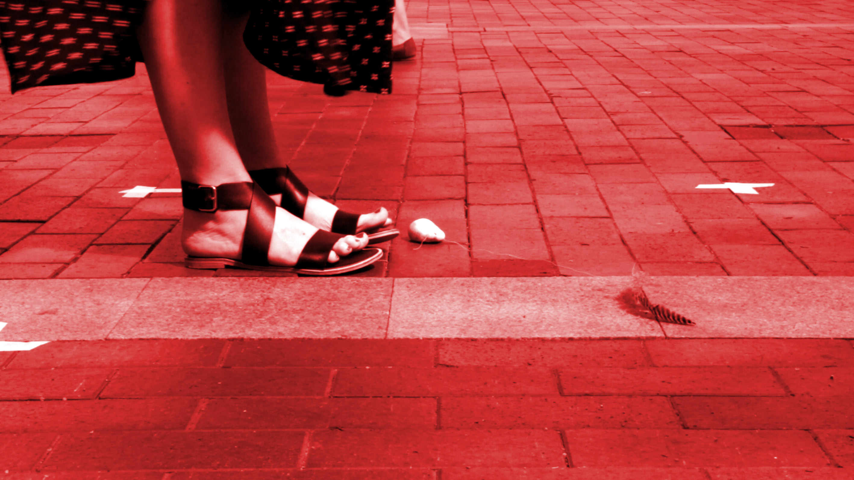 Kim V Goldsmith digital media artist