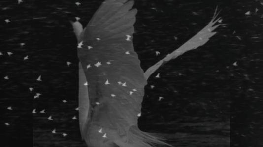 The Chapel Project Dubbo