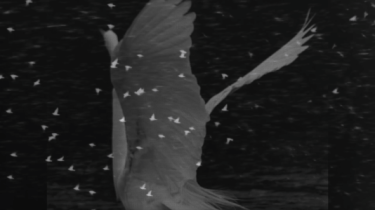 The Chapel Project Dubbo