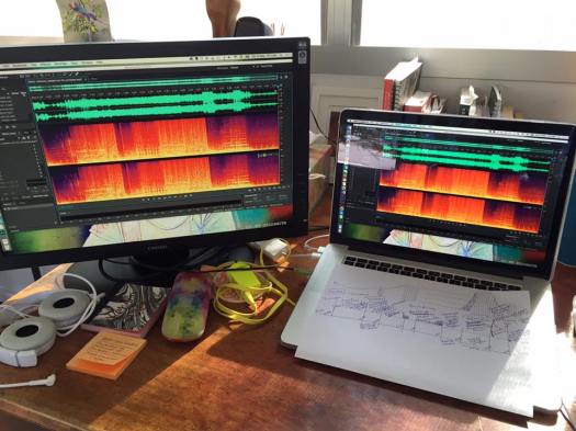 Waveforms_Volucres_May16