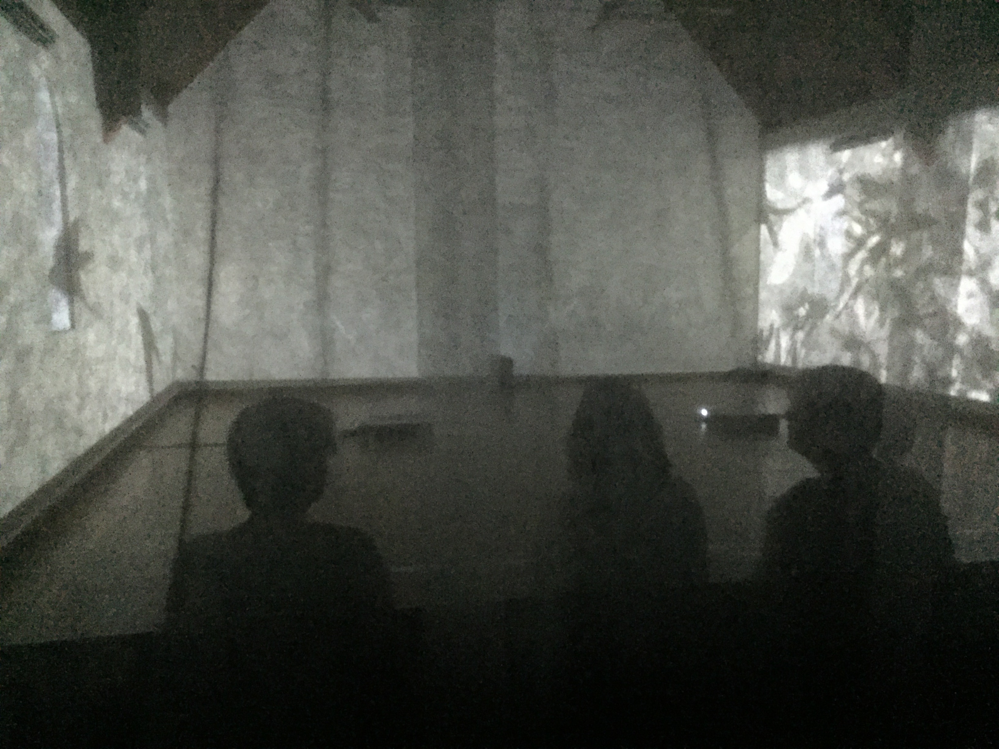 Kim V Goldsmith Volucres Artlands 2016