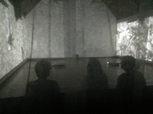 Kim V Goldsmith Volucres Artlands 2016