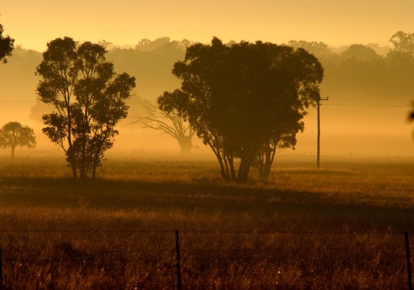 Kim V Goldsmith photography