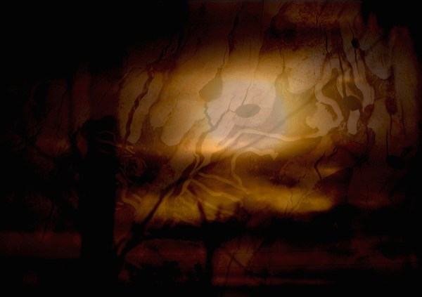 Kim V Goldsmith photography