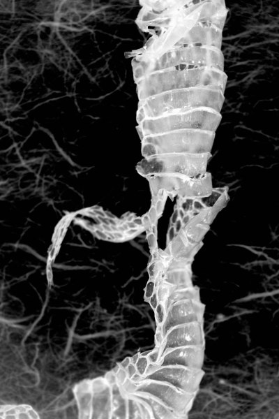 Kim V Goldsmith photography