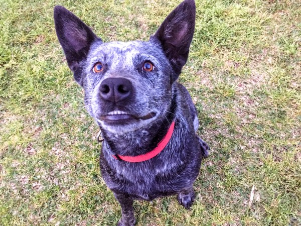 Kim V Goldsmith photography