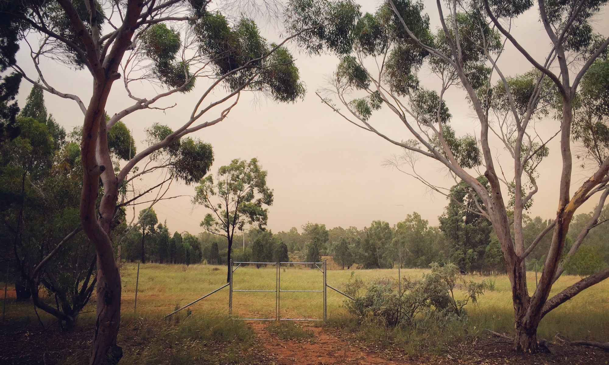 Kim V Goldsmith digital media and installation artist Dubbo NSW