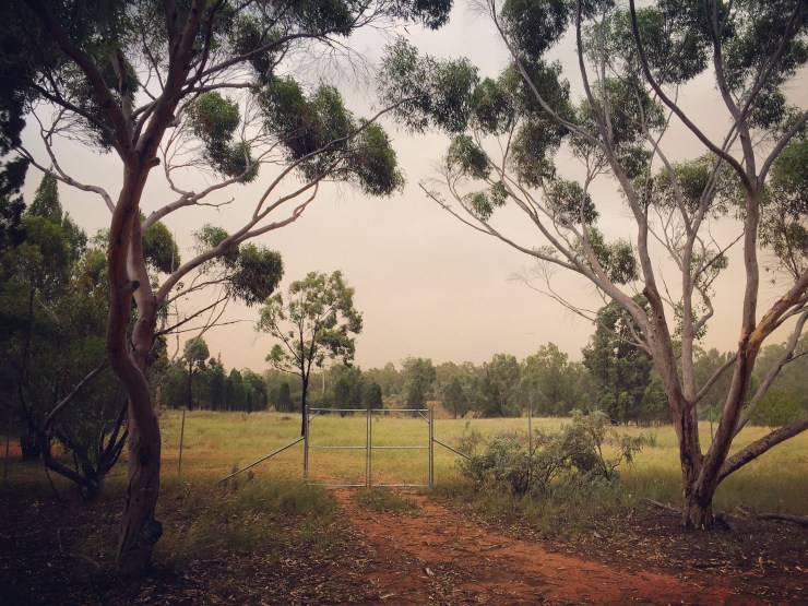 Kim V Goldsmith digital media and installation artist Dubbo NSW