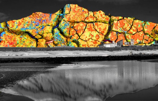 Kim V Goldsmith digital media artist