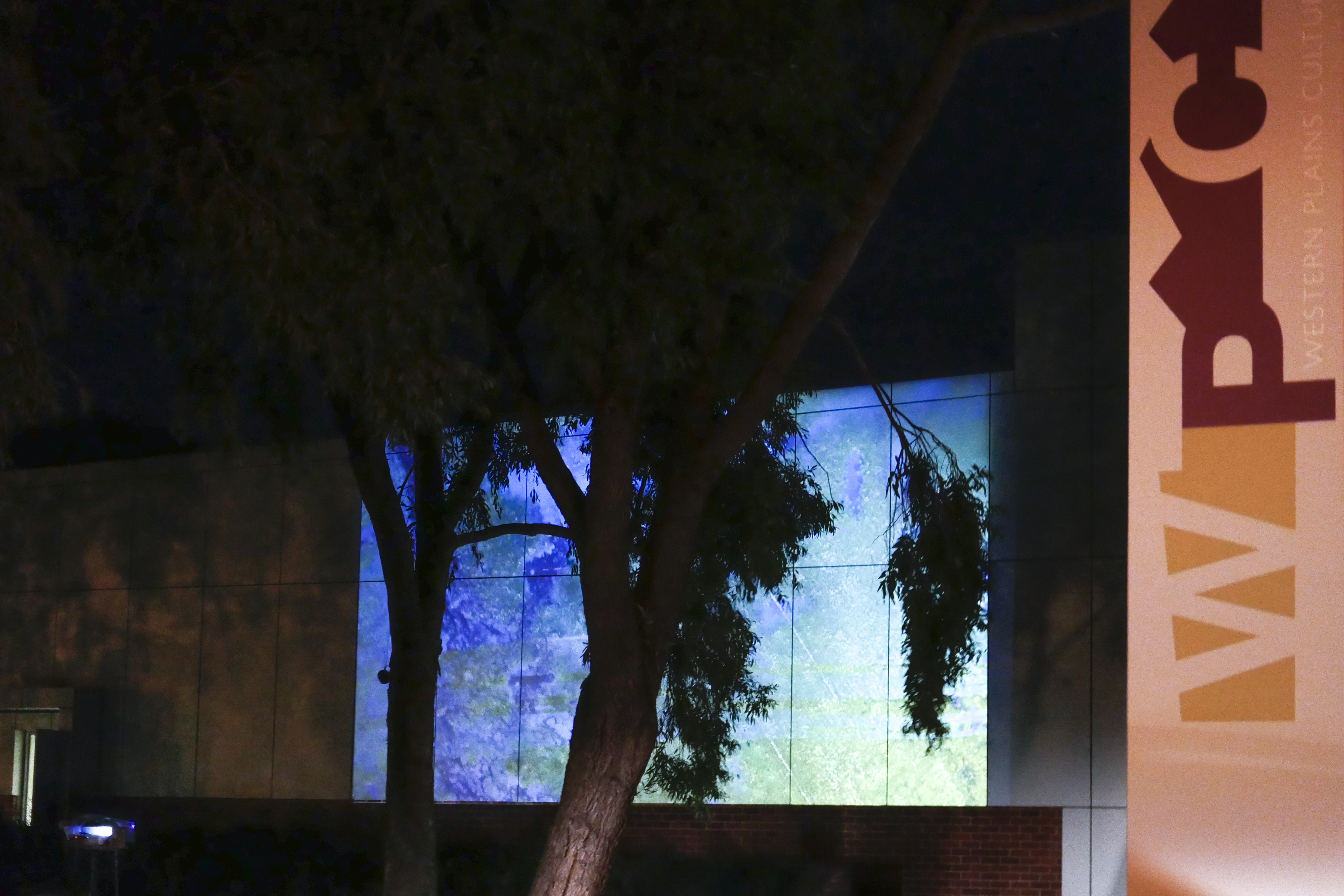 Kim V Goldsmith Wild Wetlands sound artist Dubbo