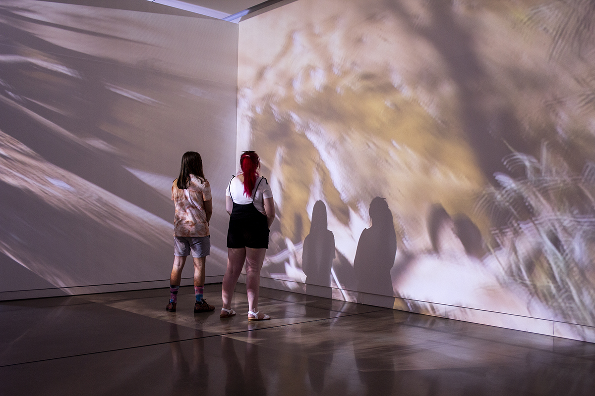 Eye of the Corvus at Western Plains Cultural Centre Dubbo