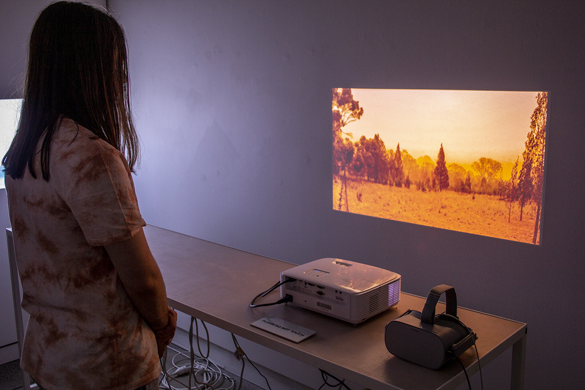Eye of the Corvus at Western Plains Cultural Centre Dubbo
