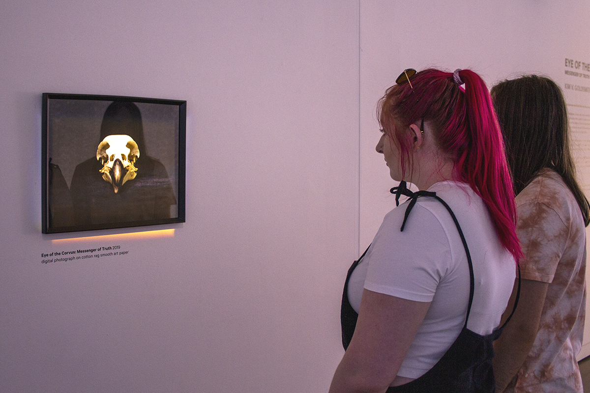 Eye of the Corvus at Western Plains Cultural Centre Dubbo