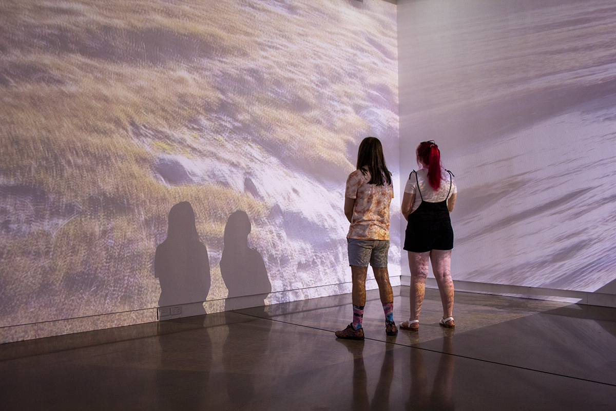 Eye of the Corvus at Western Plains Cultural Centre Dubbo