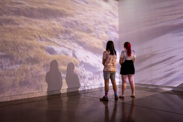 Eye of the Corvus at Western Plains Cultural Centre Dubbo
