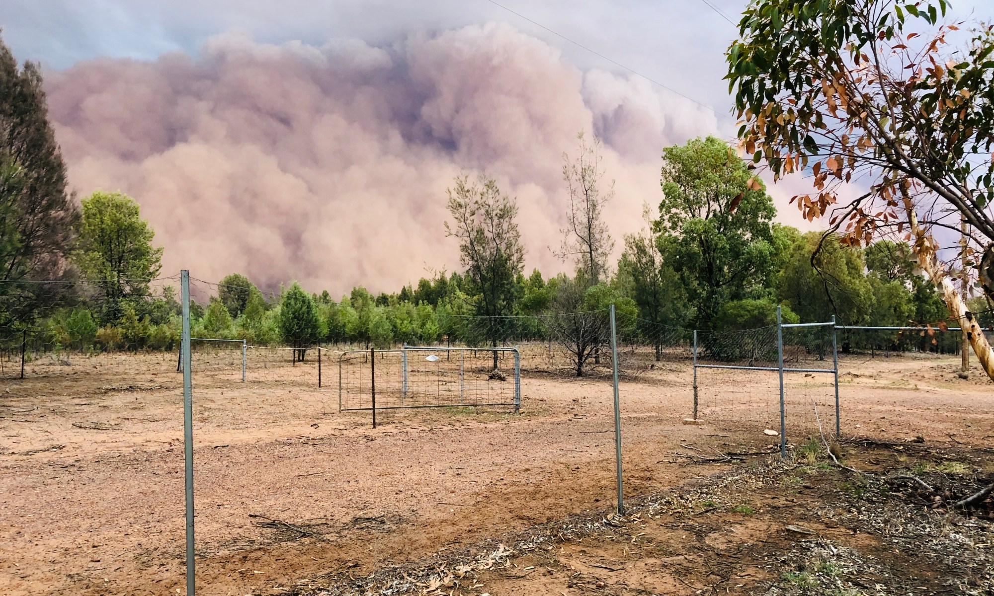 Dust storms continue to roll across Dubbo (summer 2020)