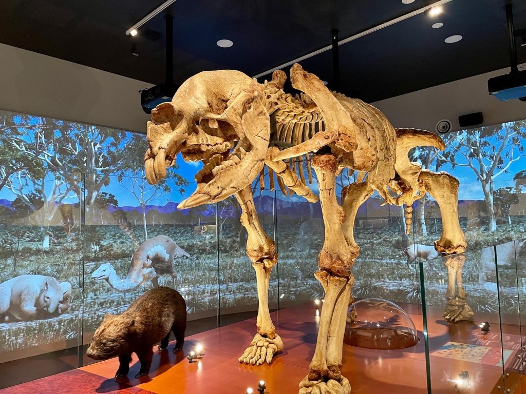 3D printed skeleton of a Diprotodon