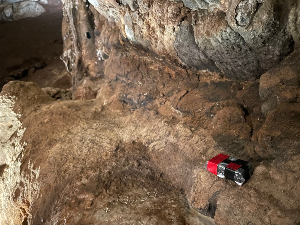 AudioMoth acoustic recorder in place on a rock ledge behind the alter rock, Cathedral Cave