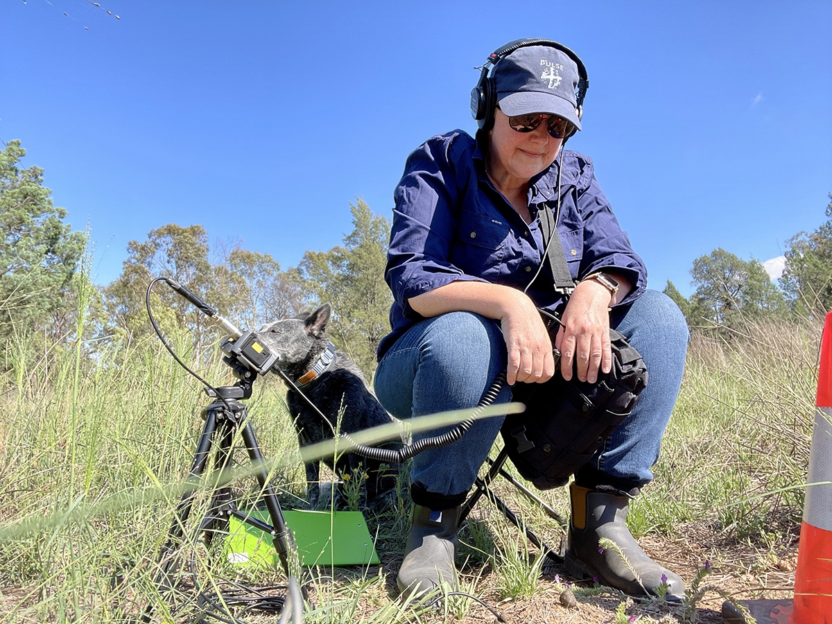 A woman with headphones on listening to soils with special microphones.