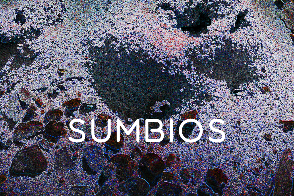 The album cover of Sumbios.