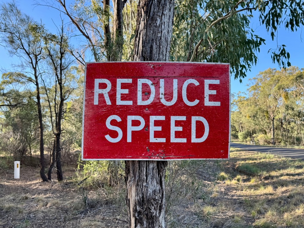 A red road sign nailed to a tree beside a road that says: Reduce Speed.