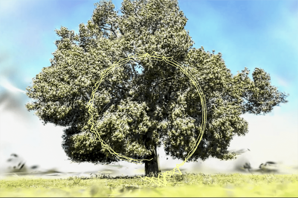 Hero image of Songs of Sowing and Reaping is a still from a LiDAR scan of a Kurrajong tree, overlayed with a circular multi-strand audio waveform in pale yellow.